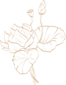 the-lotus.png